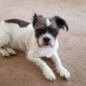 Meet your Posher, Diane